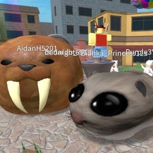 Meet your Posher, Winston